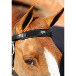 Premier Equine Magnetic Horse Browband